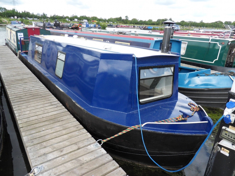 Springer Purple Haze Narrowbeam Springer Purple Haze Narrowbeam