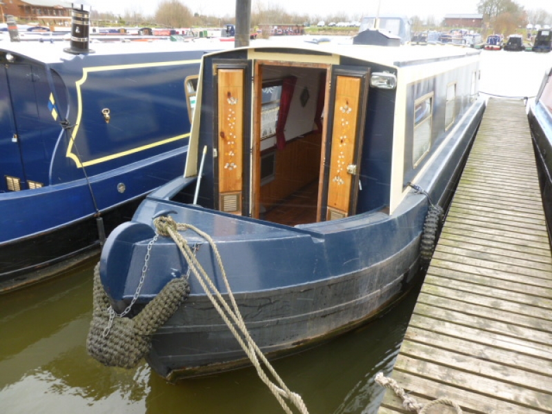 Springer Miss Behave Narrowbeam Springer Miss Behave Narrowbeam