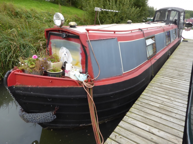 Springer Cantabile Narrowbeam