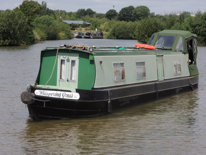 R & D Whispering Grass Narrowbeam