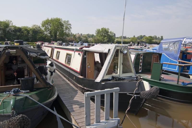 M+D Engineering Narrowbeam Mothership gallery 9