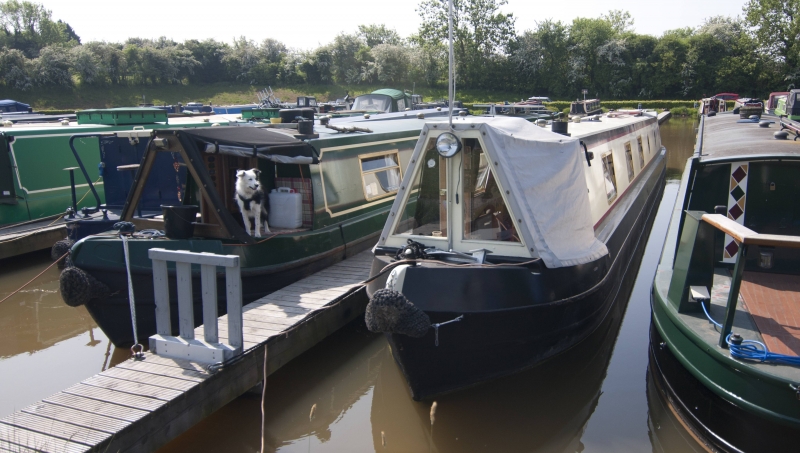 M+D Engineering Narrowbeam Mothership gallery 10