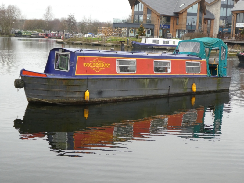 Springer GoldBerry Narrowbeam
