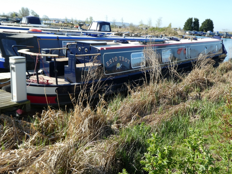 Aqua Narrowboats / Colecraft Esio Trot Narrowbeam