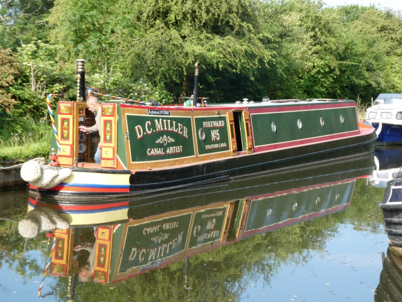 Foreward Narrowbeam for sale