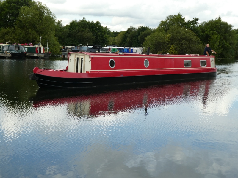 Bumble Bee Narrowbeam for sale