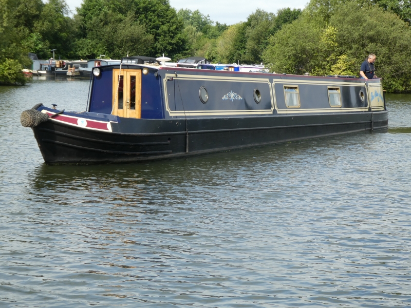 The Blue Poppy Narrowbeam for sale