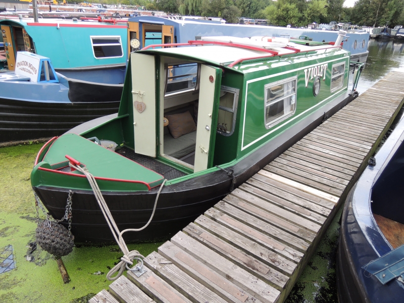 Violet Narrowbeam for sale