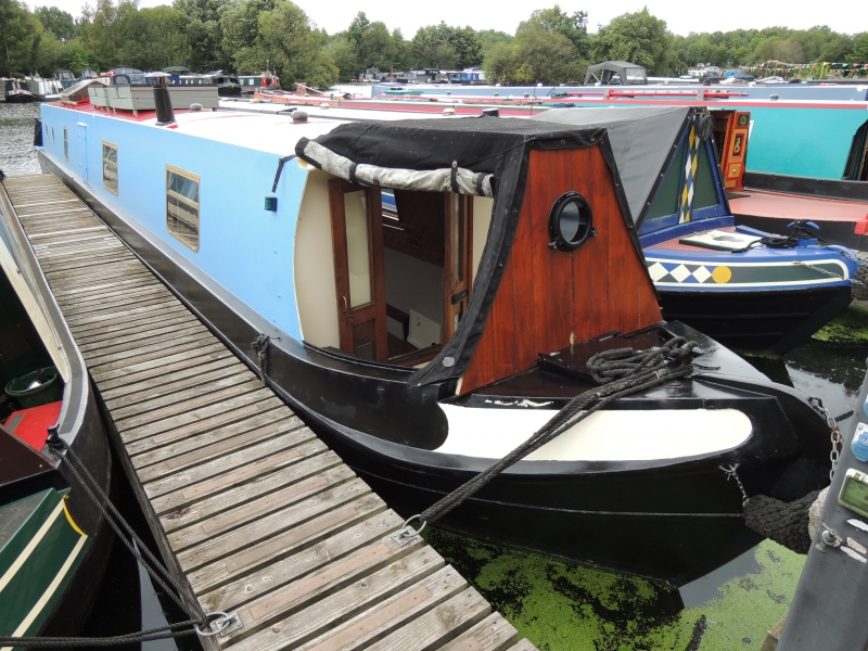 Paddywack Narrowbeam for sale