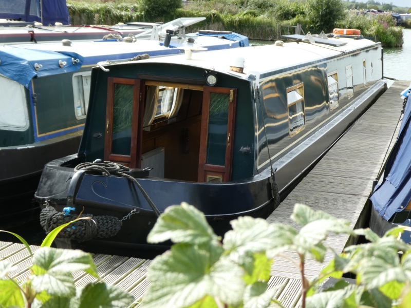 Spice of Life Narrowbeam for sale