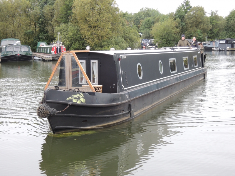 Time To Dance Narrowbeam for sale