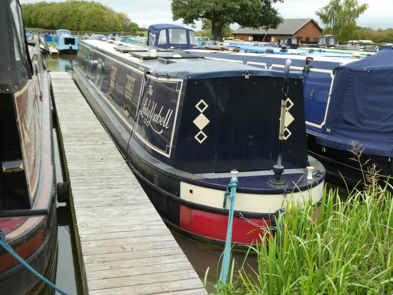 The Lady Ysabell Narrowbeam for sale