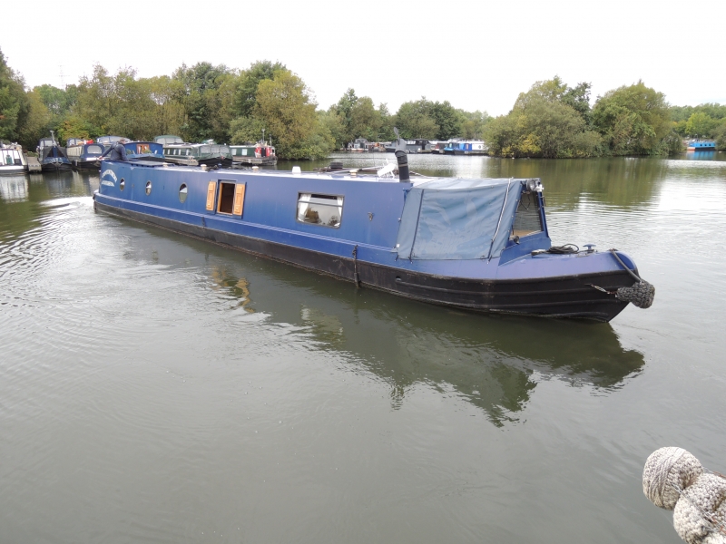 Contentment Narrowbeam for sale