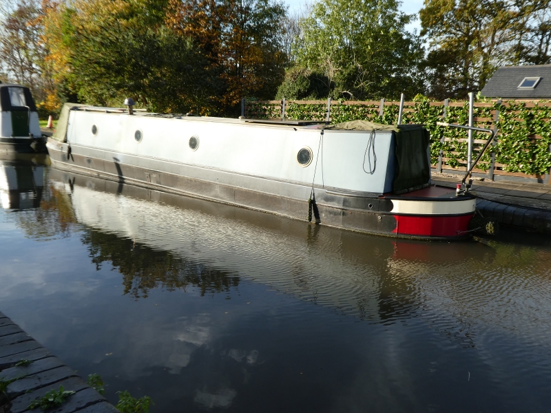 Misty Blue Narrowbeam for sale