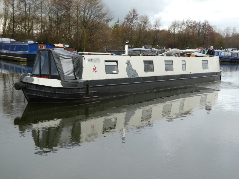 Vodoo Dolly Ju Ju  Narrowbeam for sale