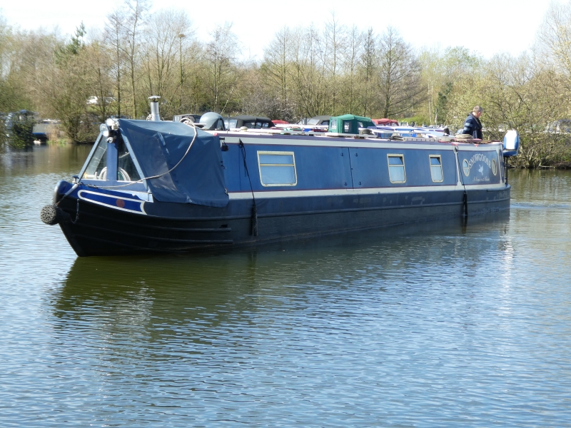 Snow Goose Narrowbeam for sale