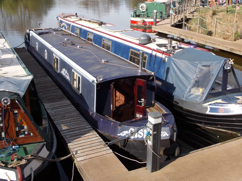 Qisma Narrowbeam for sale