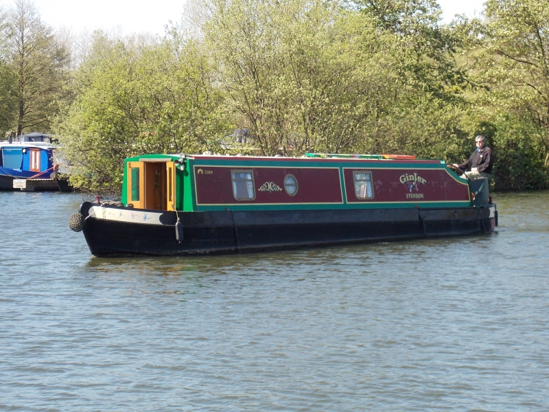 Ginjer Narrowbeam for sale