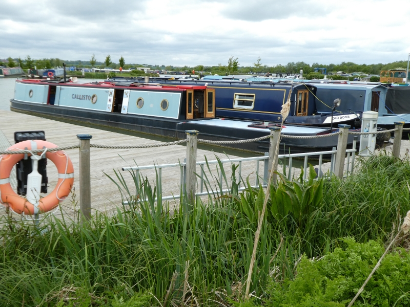 Callisto Narrowbeam for sale