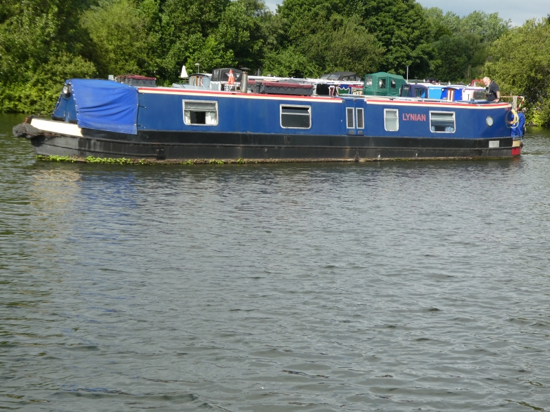 Lynian Narrowbeam for sale