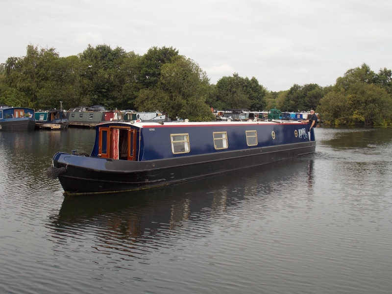 Mimosa Narrowbeam for sale