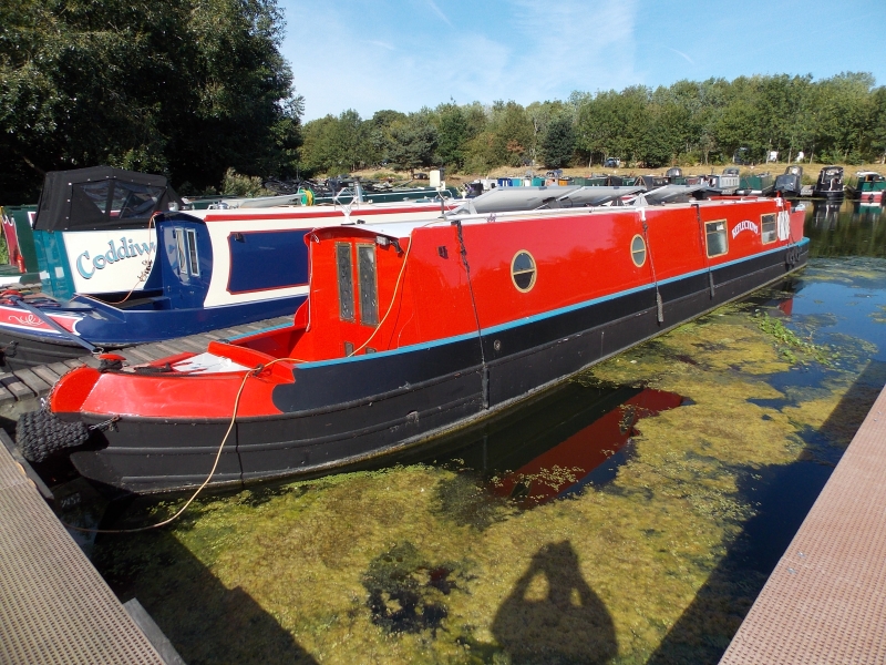 Reflections Narrowbeam for sale