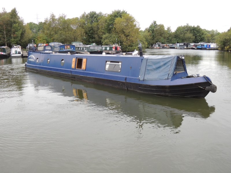 Contentment Narrowbeam for sale