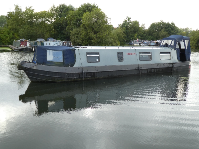 Cherry Narrowbeam for sale
