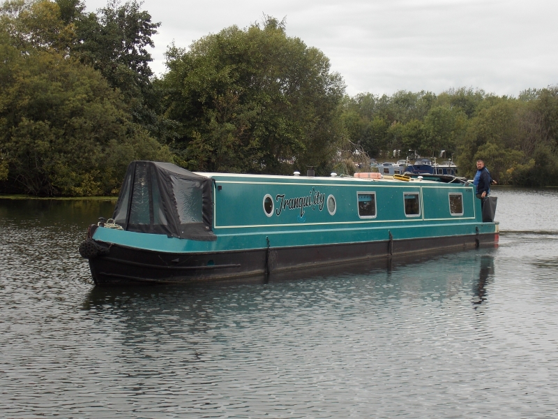 Tranquility Narrowbeam for sale