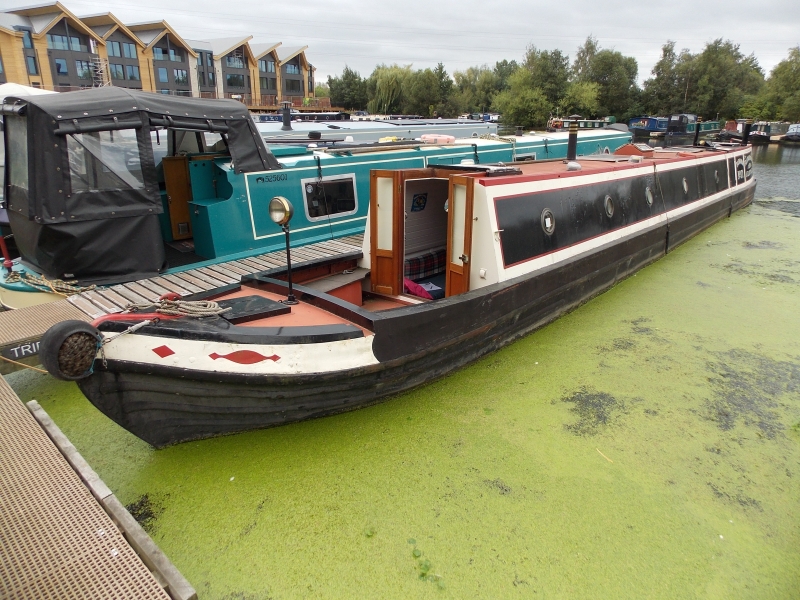 Tasmania Narrowbeam for sale