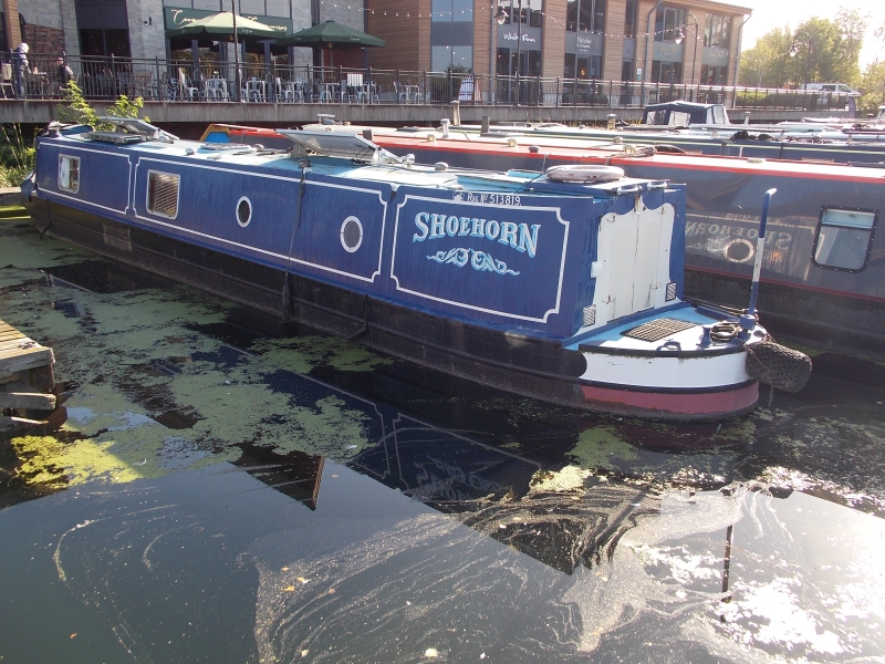 Shoehorn Narrowbeam for sale