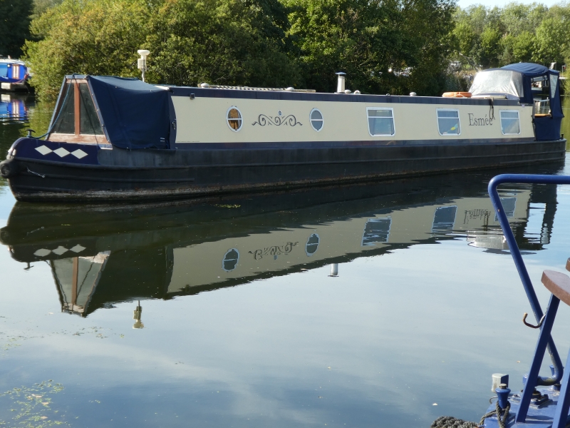 Esmee Narrowbeam for sale