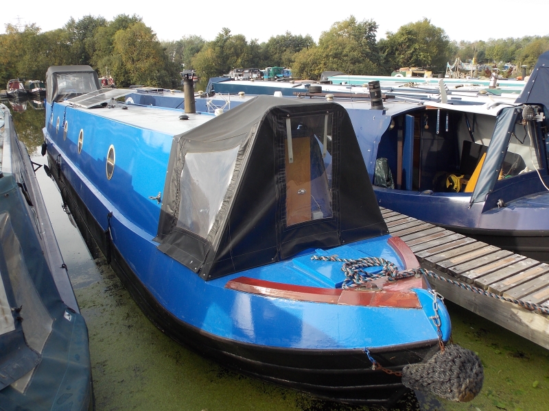 Bee Happy Narrowbeam for sale