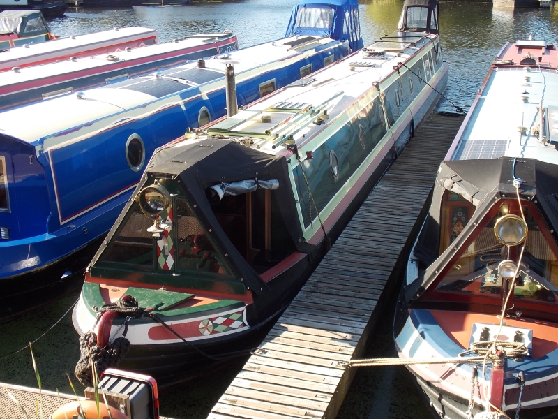 Armadillo Narrowbeam for sale
