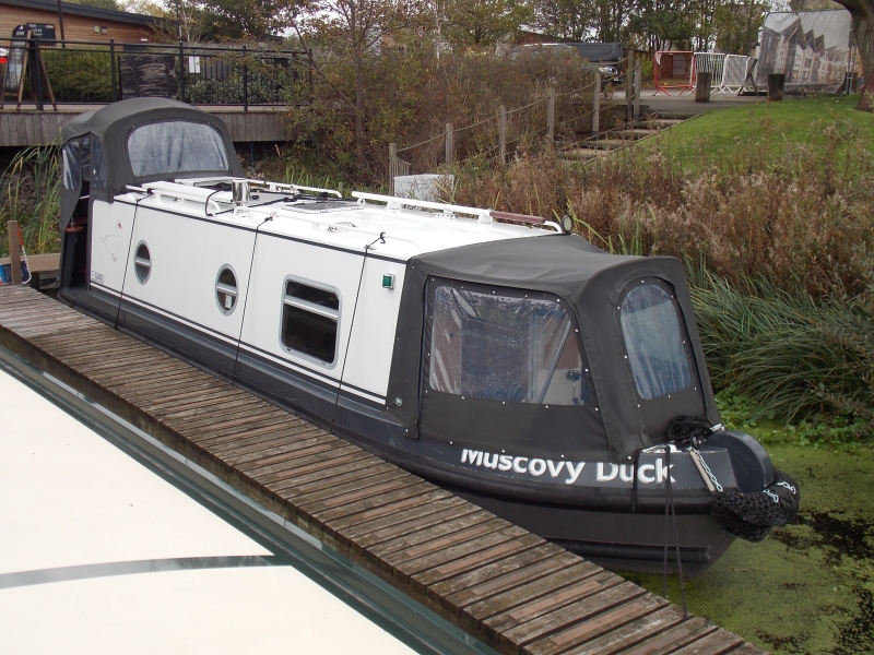 Muscovy Duck Narrowbeam for sale