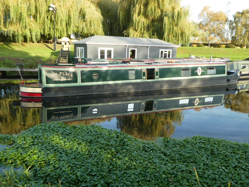 My Place Narrowbeam for sale