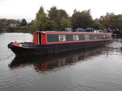 Dove Narrowbeam for sale